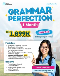 PRIVATE GRAMMAR PERFECTION